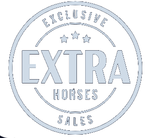 Extra Horses