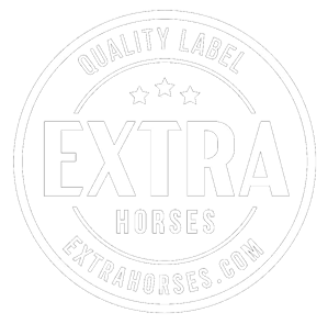 Extra Horses
